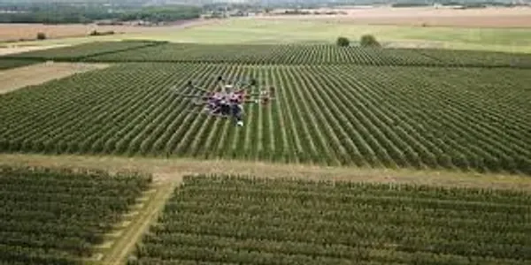Automated Drone
